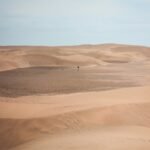 a person walking in the desert